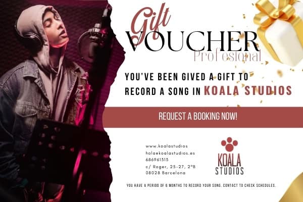 Professional Gift Voucher Koala Studios